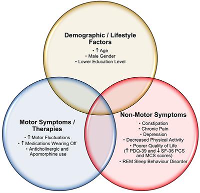 Cognitive Influences in Parkinson's Disease Patients and Their Caregivers: Perspectives From an Australian Cohort